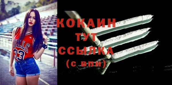 индика Балабаново