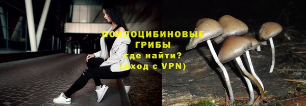 индика Балабаново