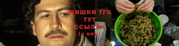 индика Балабаново
