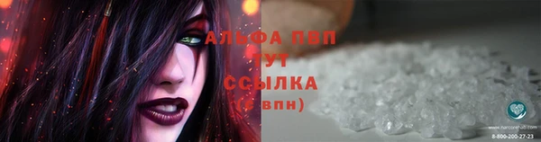 индика Балабаново