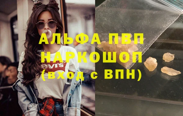 индика Балабаново
